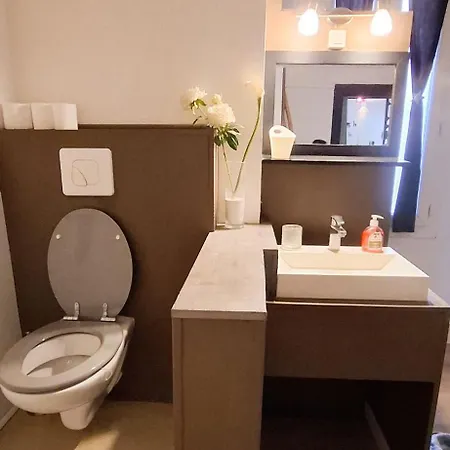 Centre Cosy 33m2 Lägenhet